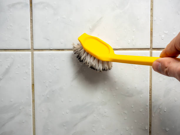  Grace, ID Mold Removal Pros